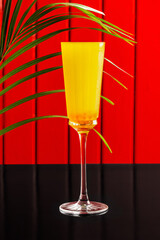 Orange cocktail, juice in a tall glass, Japanese style