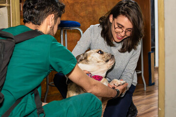 A veterinarian arrives at a dog owner's house. Both are crouched caressing the animal. Veterinary home concept