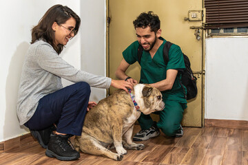 A veterinarian comes to provide medical service to a dog that is in a house. He meets a woman, they are both petting the dog