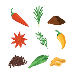 Vector Set of Hand Drawn Spices Illustration for Culinary Designs