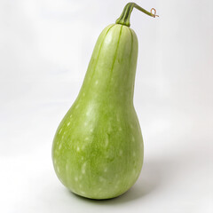 zucchini on a white background