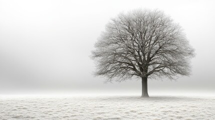 Fototapeta premium A solitary tree stands in a foggy, snowy landscape, evoking a sense of tranquility and solitude.