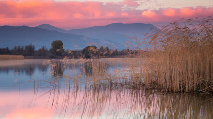 Serene Lake at Sunset with Mountain Backdrop and Reed Grasses