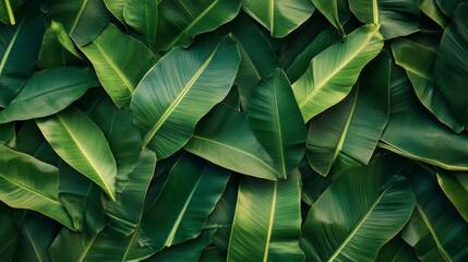 Lush Tropical Green Leaves Seamless Texture for Eco-Friendly Backgrounds