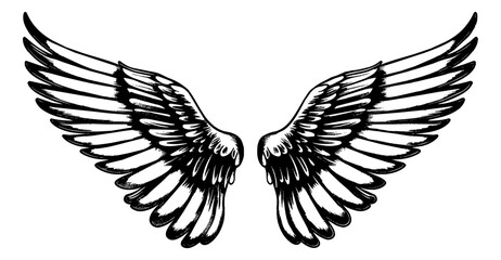 Obraz premium wings pair engraving black and white outline