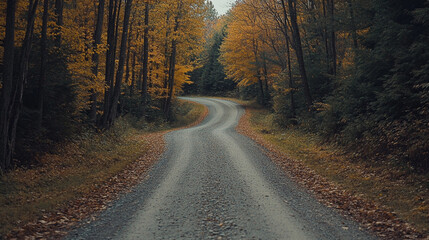 Obraz premium Winding gravel road surrounded by autumn foliage in a serene forest setting