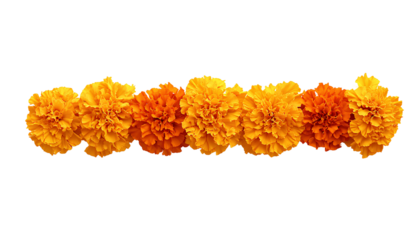 Marigold Flower rangoli Design for Diwali Festival , Indian Festival flower decoration