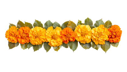 Marigold Flower rangoli Design for Diwali Festival , Indian Festival flower decoration