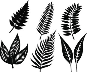 Vector Silhouette Summer Leaf Icons Set of Fern on White Background