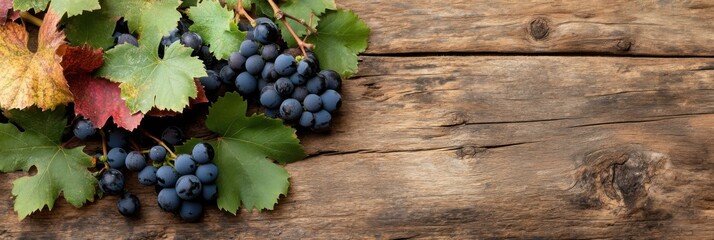Argentine vendimia festival celebration: grapes and leaves on rustic wooden surface