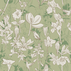 vector drawing natural seamless pattern with wild flowers and hummingbirds, flowering garden, hand drawn illustration