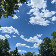 Obraz premium A Clear Blue Sky with Fluffy White Clouds Framed by Lush Green Trees in a Peaceful Outdoor Setting during a Sunny Day