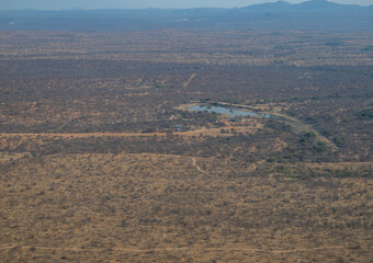 Luftbild Landschaftsbild - Flora Botanik Busch im Krüger National Park - Kruger Nationalpark Südafrika