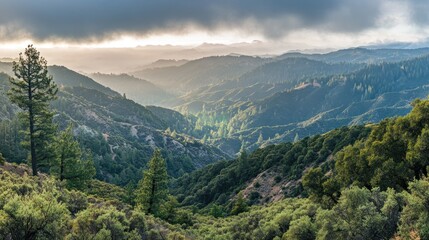 Obraz premium A scenic view of a valley with rolling hills, lush vegetation, and a misty sky.