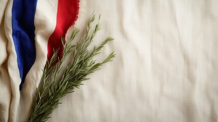 Minimalist flat lay celebrating french victory day with flag and rosemary