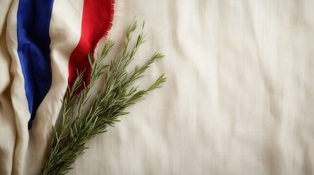 Minimalist flat lay celebrating french victory day with flag and rosemary