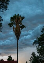 Storm clouds build over Johannesburg in South Africa at the start of the summer rain season