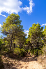 Fototapeta premium Wanderweg Puig de s`Aguila bei Cala Mesquida, Mallorca, Spanien