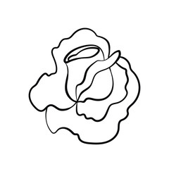 Floral silhouette art line. Flowers in continuous line drawing style. Border with tropical flower. Minimalist black linear sketch. Trendy vector illustration isolated. Contour graphics for design