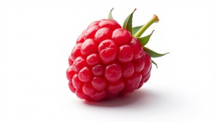 A red raspberry is shown on a white background