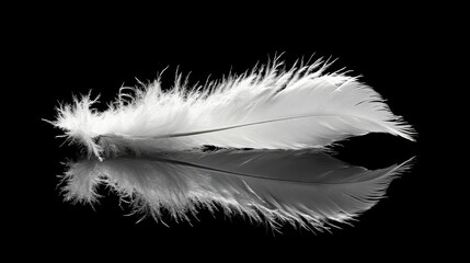 Elegant White Feather on Black Surface with Reflection
