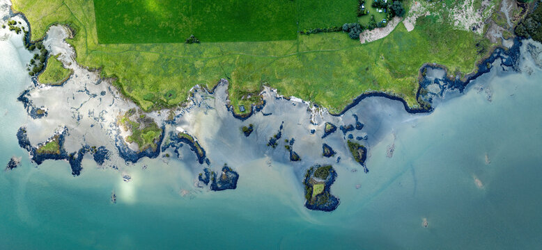 Top down view of volcanic foreshore on the Manukau Harbour, Auckland, New Zealand