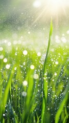 Fototapeta premium Water droplets spray on crops, showcasing modern irrigation technology in bright sunlight