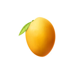 Realistic Mango