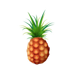 Realistic Pineapple