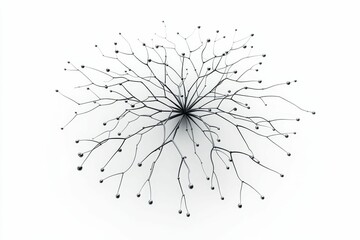 Obraz premium Black branches with silver orbs on white.