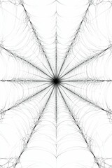 Obraz premium A intricate black spider web on white.