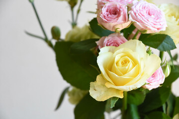 黄色とピンクのばら