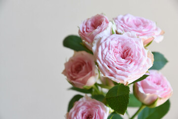 ピンクのスプレーばら