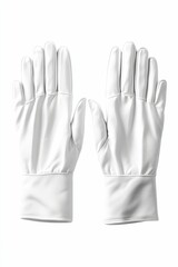 Obraz premium A pair of white leather gloves.