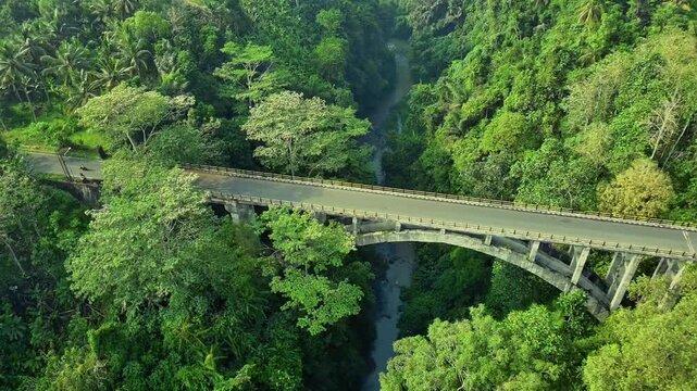 Tanah Uwuk  Bridge in forest, Badung Bali Indonesia