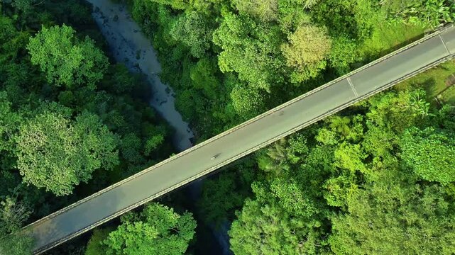 Tanah Uwuk  Bridge in forest, Badung Bali Indonesia