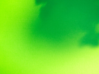 Green background wall shadow light summer sunight overlay nature on room cement floor abstract blur muckup effect minimal platform for presentation product backdrop, nature wallpaper template display