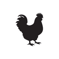 chicken black logo Vector black silhouette of a chicken on a white background.