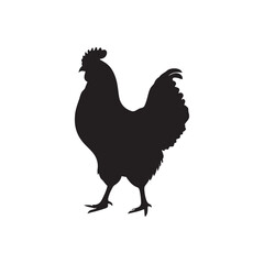 chicken black logo Vector black silhouette of a chicken on a white background.