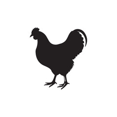 chicken black logo Vector black silhouette of a chicken on a white background.