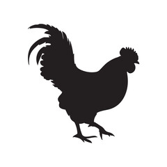 chicken black logo Vector black silhouette of a chicken on a white background.