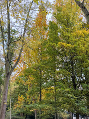 世界周遊　パリ16区アルバートカーン美術館