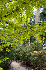 世界周遊　パリ16区アルバートカーン美術館