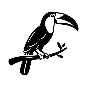 Simple Vector Icon of a Toco touchan &ndash; Logo Design Illustration