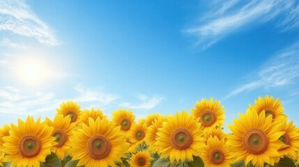 Obraz premium Blooming Sunflowers Under a Bright Blue Sky