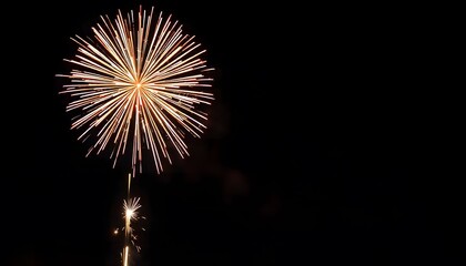 Sparkling 2025 New Year Celebration with Fireworks in the Night Sky