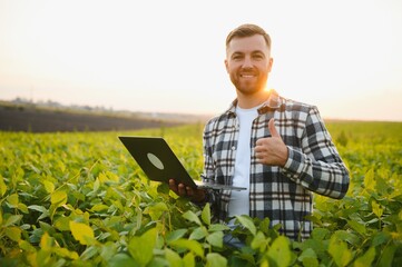 Young handsome agriculture engineer squatting in soybean field with laptop in hands in early summer