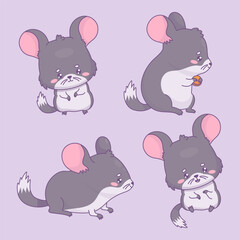 Cute chinchilla set. Isolated funny cartoon kawaii animal rodent characters. Vector illustration. Kids collection