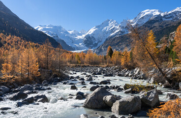 Golden Autumn Colors And The