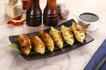 Fried Japanese stuffed dumplings - Gyoza
